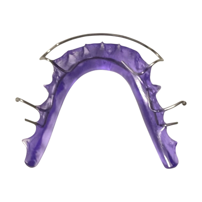Purple dental model with metal framework on a white background